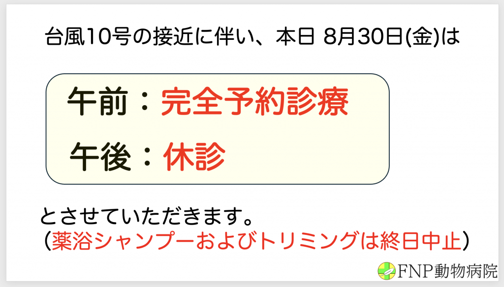 スクリーンショット 2024-08-29 18.57.01