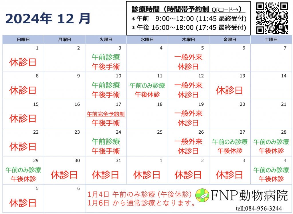 12月診療日