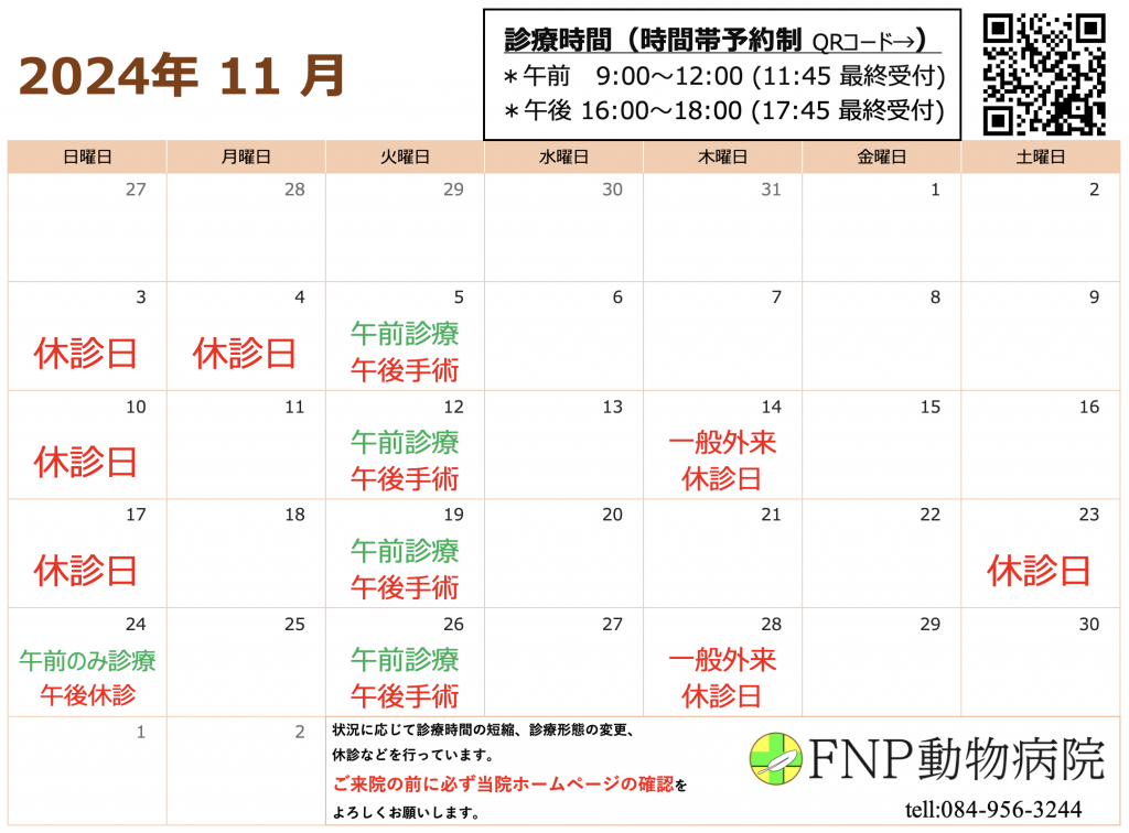 11月診療日